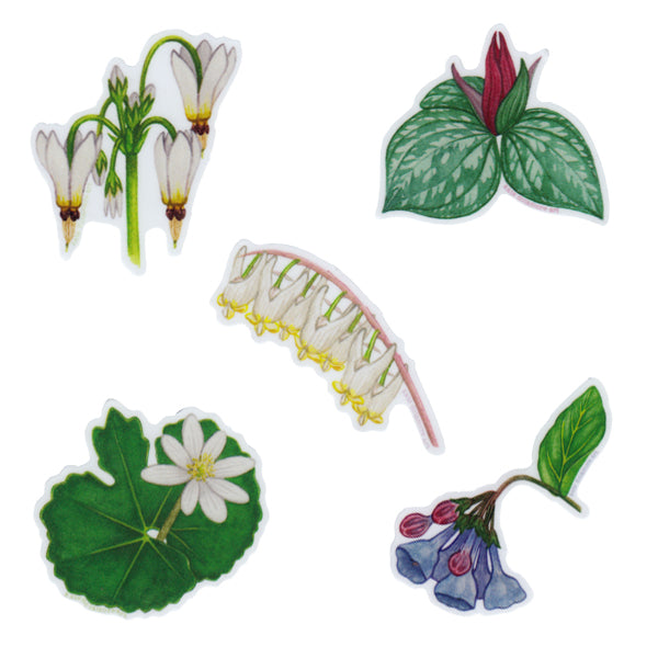 Spring Ephemerals Vinyl Sticker Set