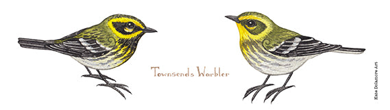 Townsend's Warbler 10 oz. Camp Mug