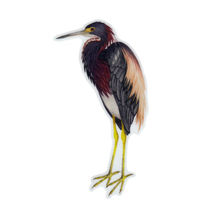 Tricolored Heron Vinyl Sticker