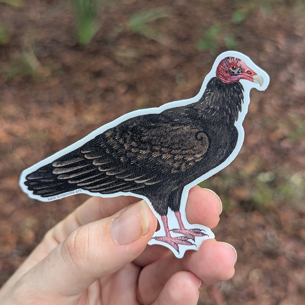 Turkey Vulture Vinyl Sticker