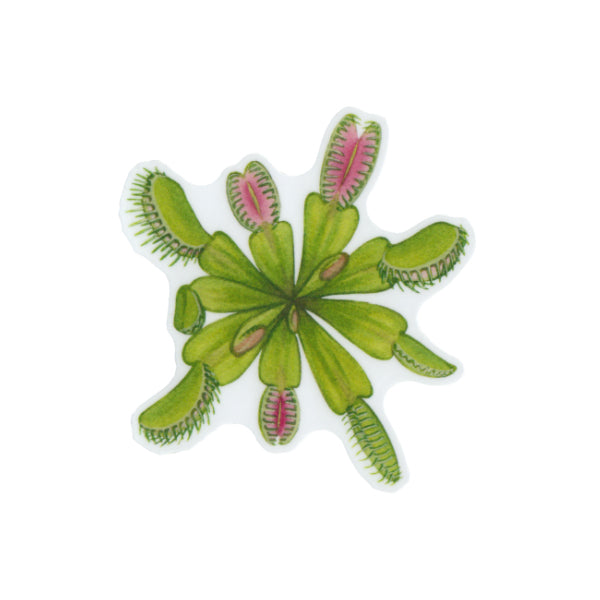 Venus Flytrap Vinyl Sticker