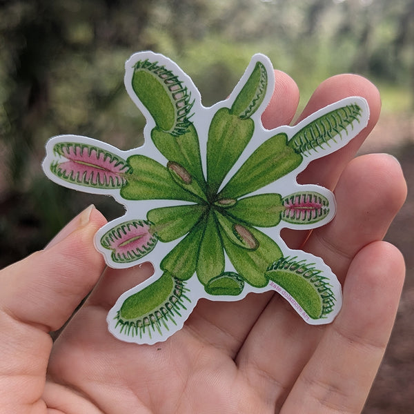 Venus Flytrap Vinyl Sticker