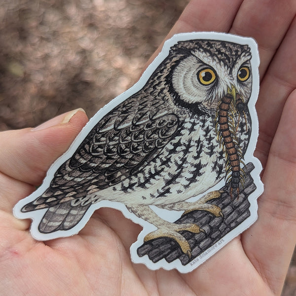 Whiskered Screech Owl Vinyl Sticker