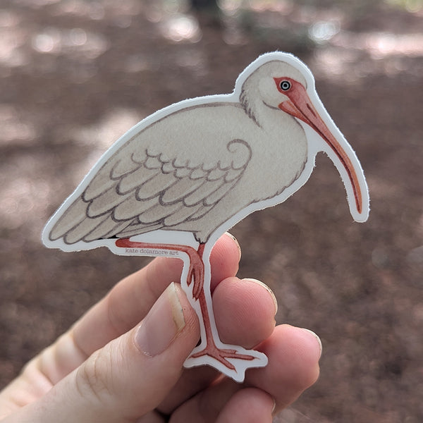 White Ibis Vinyl Sticker
