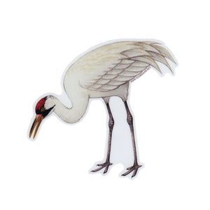 Whooping Crane Vinyl Sticker