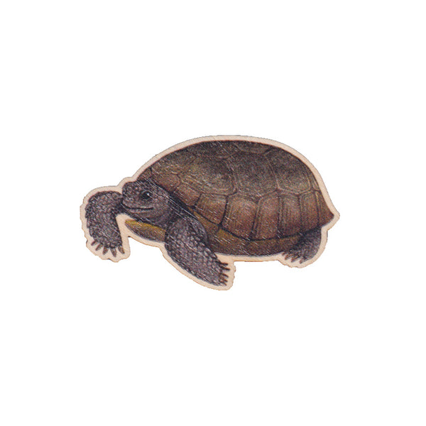 Gopher Tortoise Wooden Pin