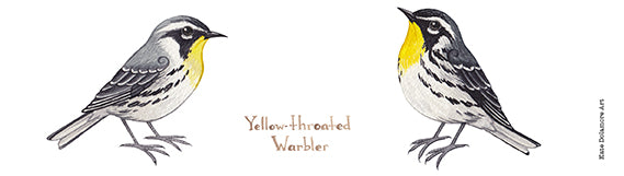 Yellow-throated Warbler 10 oz. Camp Mug