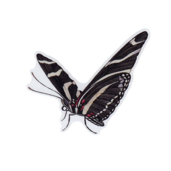 Zebra Longwing Butterfly Vinyl Sticker