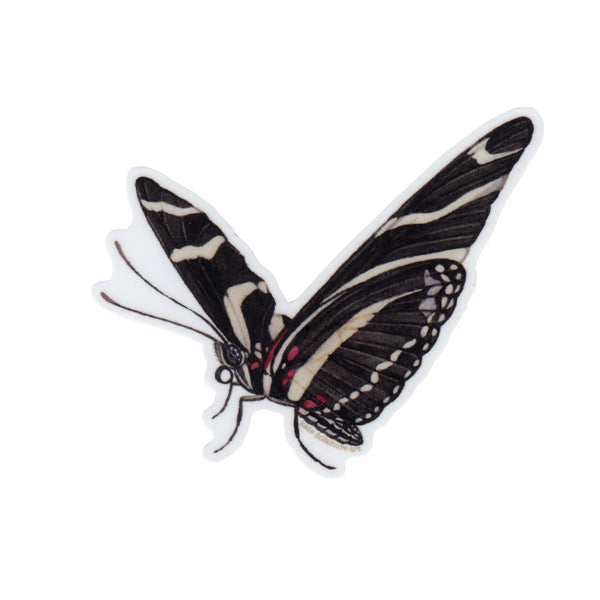 Zebra Longwing Butterfly Vinyl Sticker