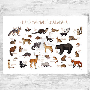 Alabama Land Mammals Field Guide Art Print