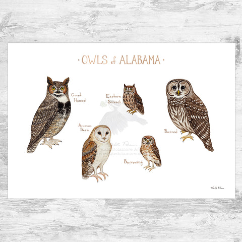 Alabama Owls Field Guide Art Print