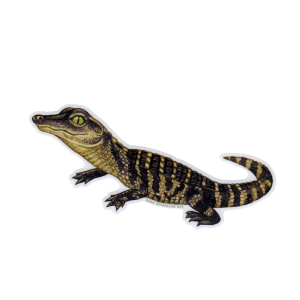 Alligator Baby Vinyl Sticker