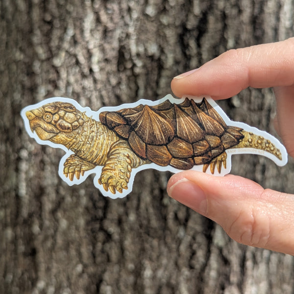 Suwannee Alligator Snapping Turtle Vinyl Sticker