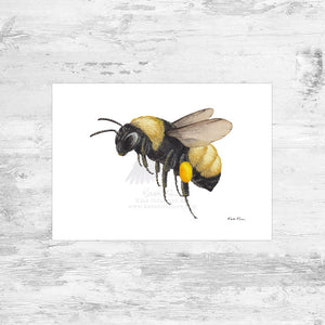 American Bumblebee Art Print