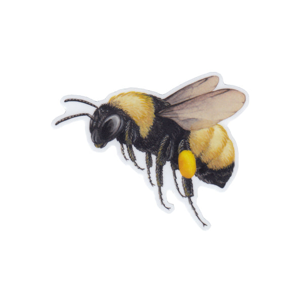 American Bumblebee Vinyl Sticker