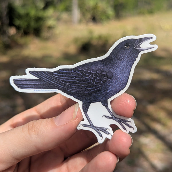 American Crow Cawing Vinyl Sticker
