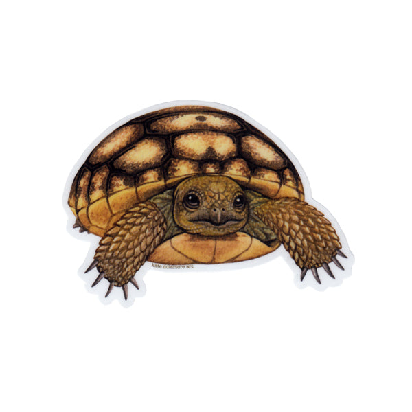 Gopher Tortoise Baby Vinyl Sticker