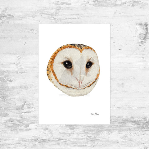 Barn Owl Portrait Art Print