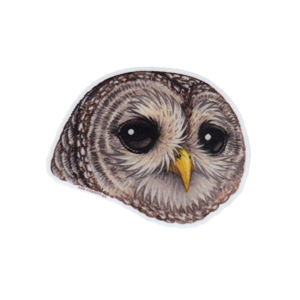 Barred Owl (Portrait) Vinyl Sticker