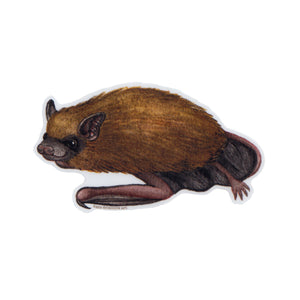 Big Brown Bat Vinyl Sticker