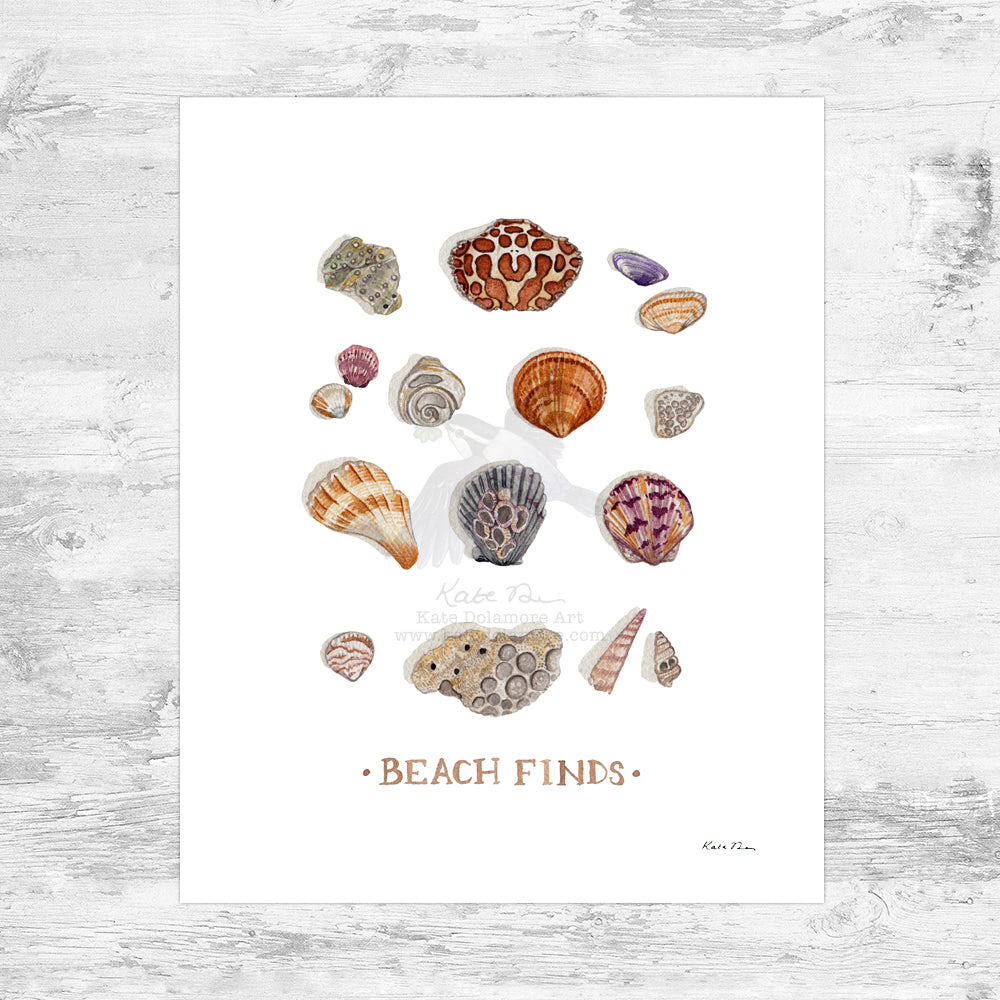 Beach Finds Art Print