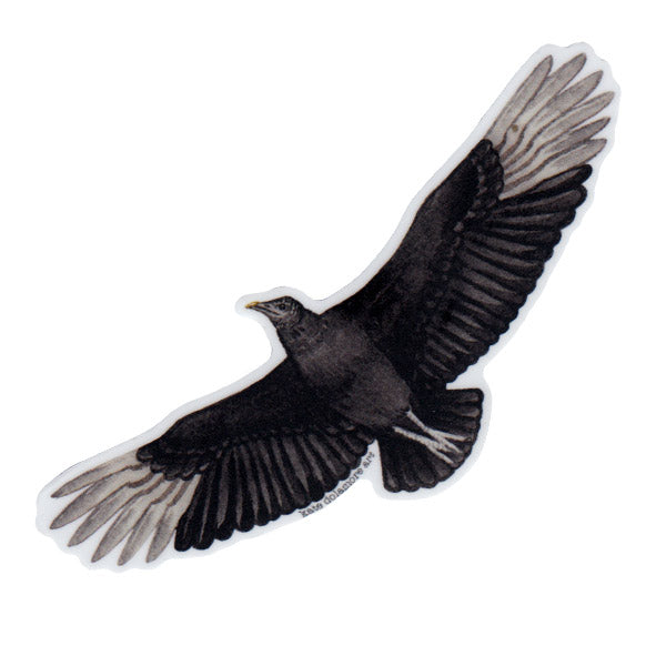 Black Vulture (In Flight) Vinyl Sticker