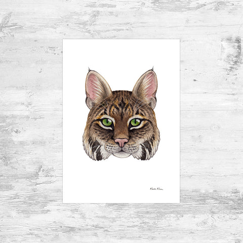 Bobcat Art Print