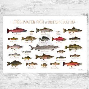 British Columbia Freshwater Fish Field Guide Art Print