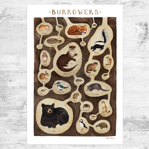 Burrowing Animals Field Guide Art Print