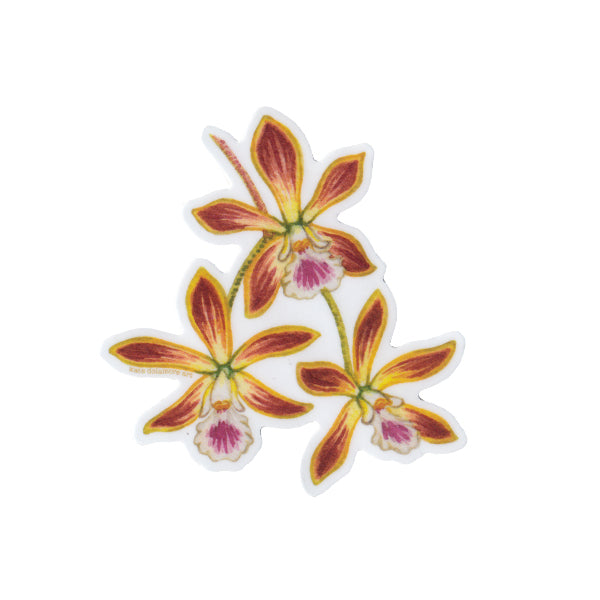 Butterfly Orchid Vinyl Sticker