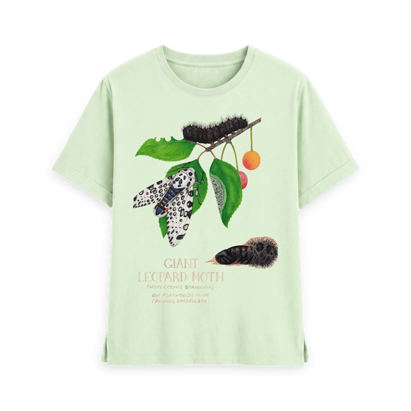 Pastel Green Printed T-shirt Front