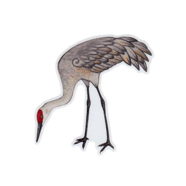 Sandhill Crane (Foraging) Vinyl Sticker