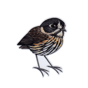 Crescent-faced Antpitta Vinyl Sticker