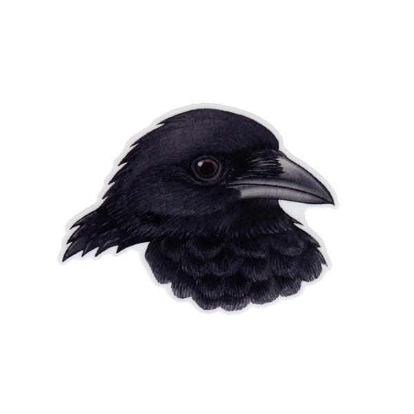 American Crow Portrait Vinyl Sticker