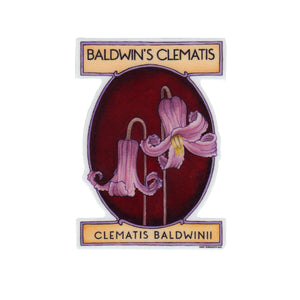 Baldwin's Clematis Vinyl Sticker