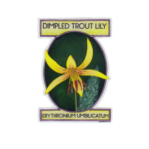 Dimpled Trout Lily Vinyl Sticker