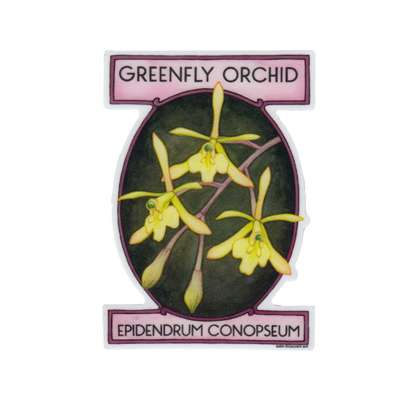 Greenfly Orchid Vinyl Sticker