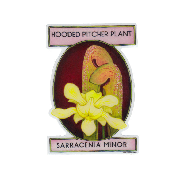 Hooded Pitcher Plant Vinyl Sticker