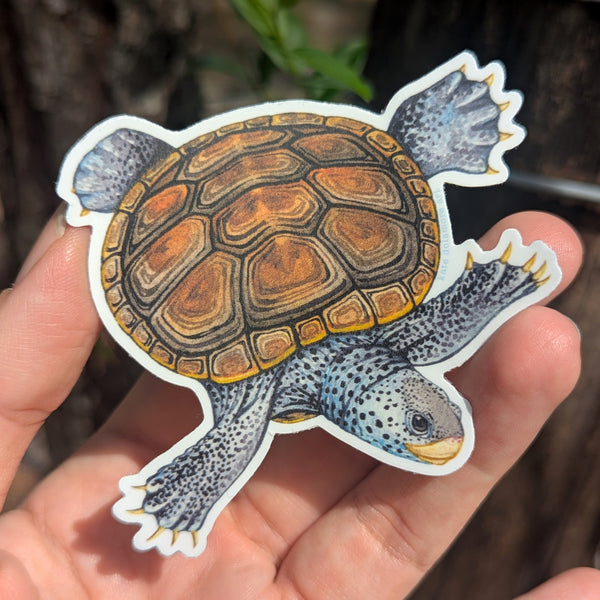 Diamondback Terrapin Vinyl Sticker
