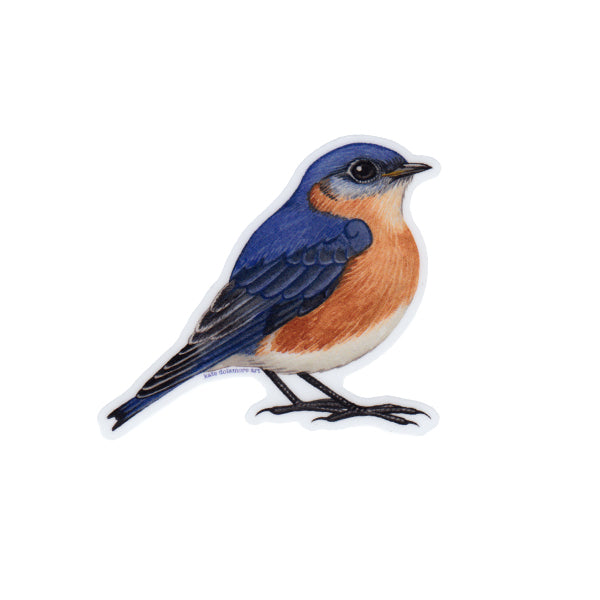 Eastern Bluebird Vinyl Sticker