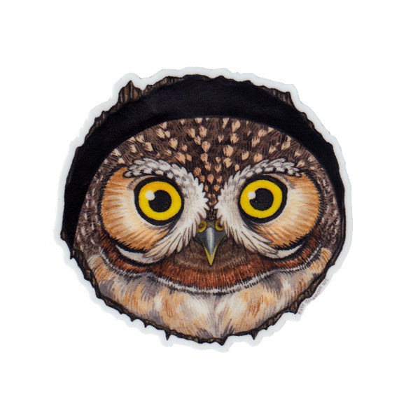 Elf Owl Vinyl Sticker
