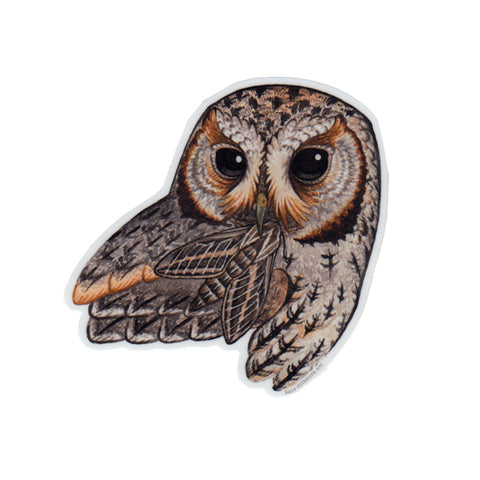 Flammulated Owl Vinyl Sticker