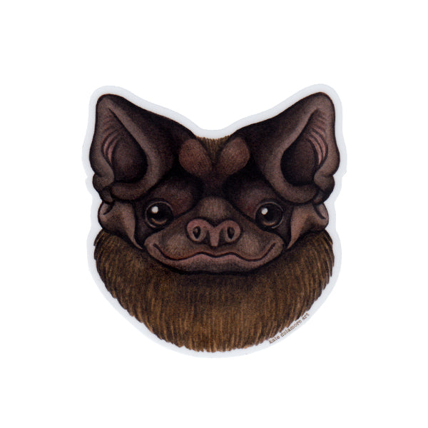 Florida Bonneted Bat Vinyl Sticker – Kate Dolamore Art