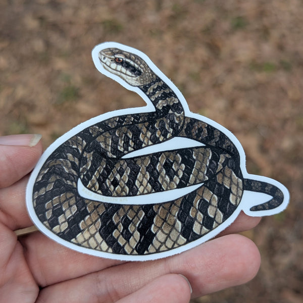 Florida Cottonmouth Snake Vinyl Sticker