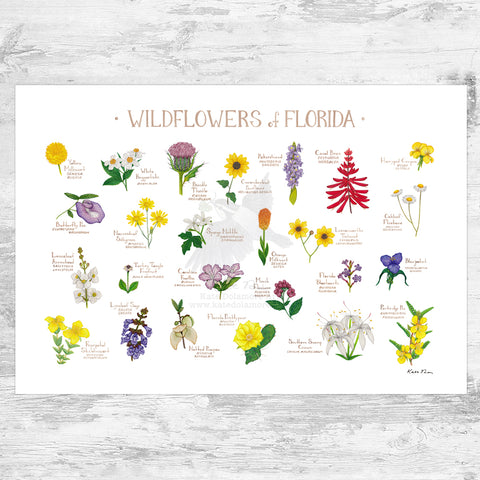 Florida Native Plants