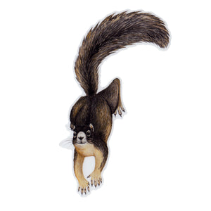 Sherman's Fox Squirrel Vinyl Sticker