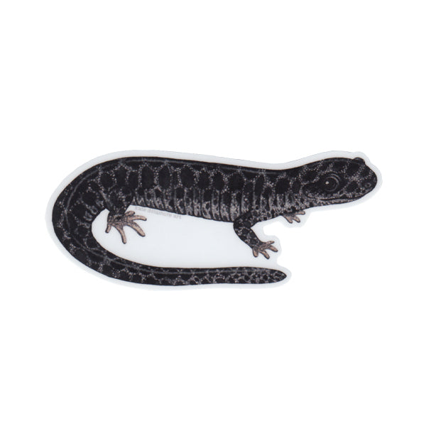 Frosted Flatwoods Salamander Vinyl Sticker