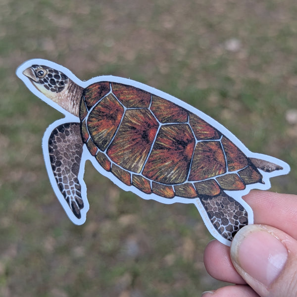 Green Sea Turtle Vinyl Sticker (2026)