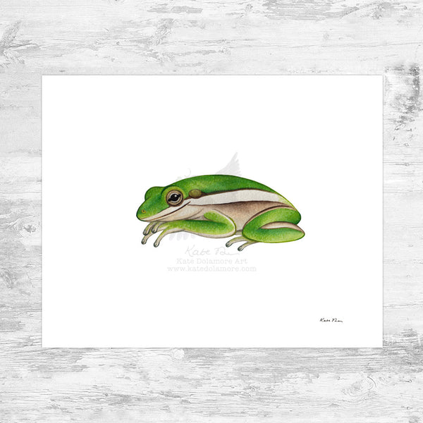 Green Tree Frog Art Print