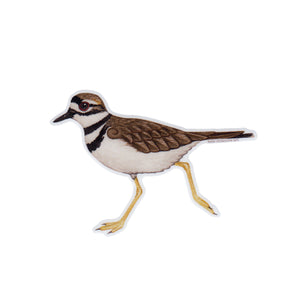 Killdeer Vinyl Sticker